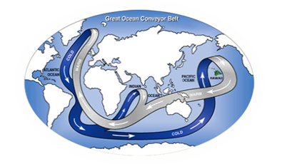 Global conveyor belt