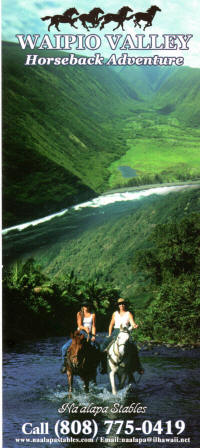 Naalapa Stables Hawaii