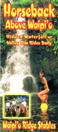 Waipio Ridge Stables Hawaii